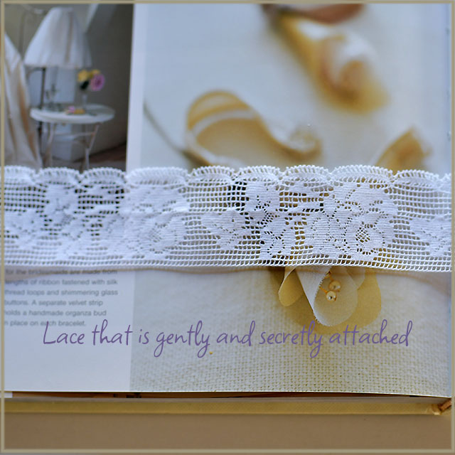 チェコから来たレース